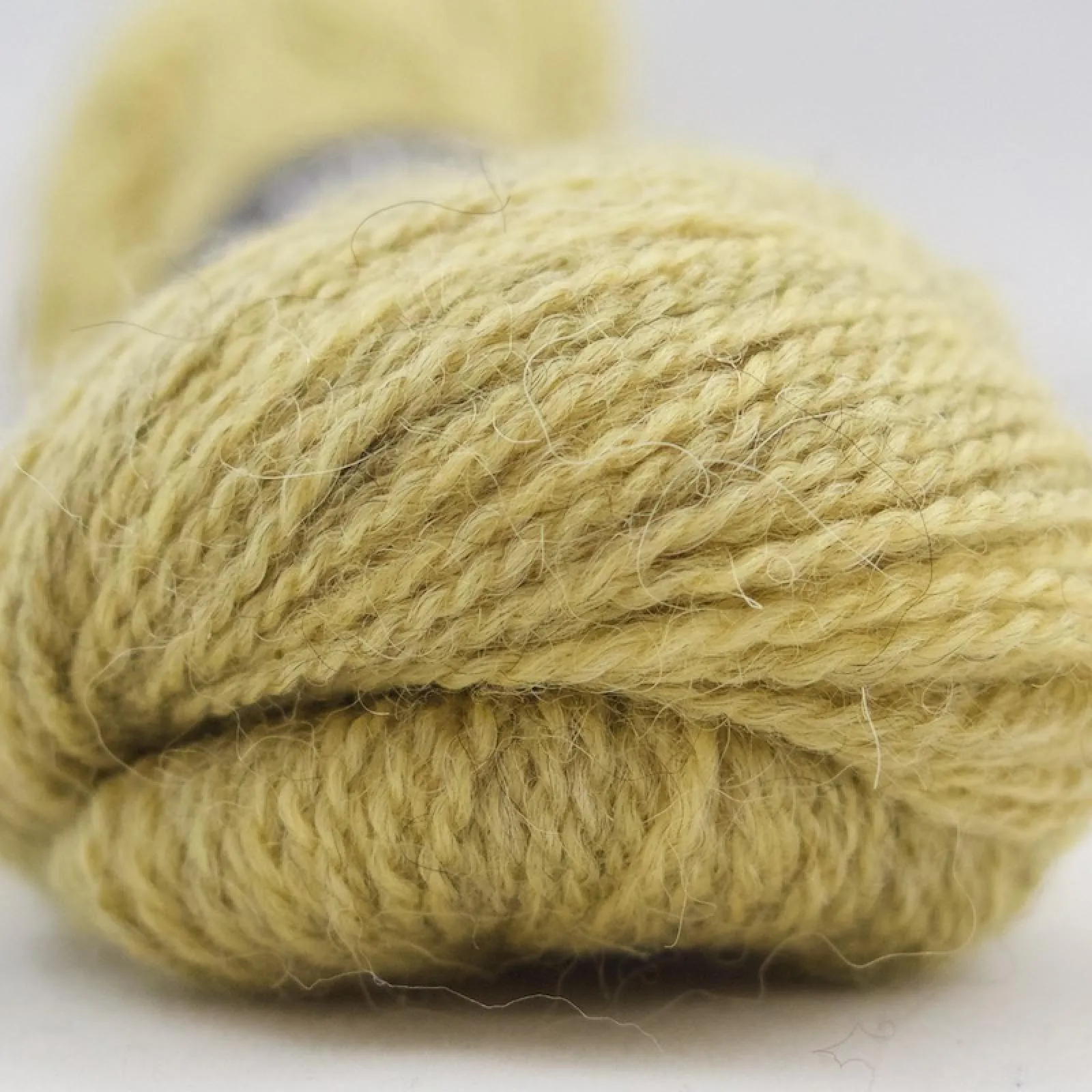 Alpaca 2