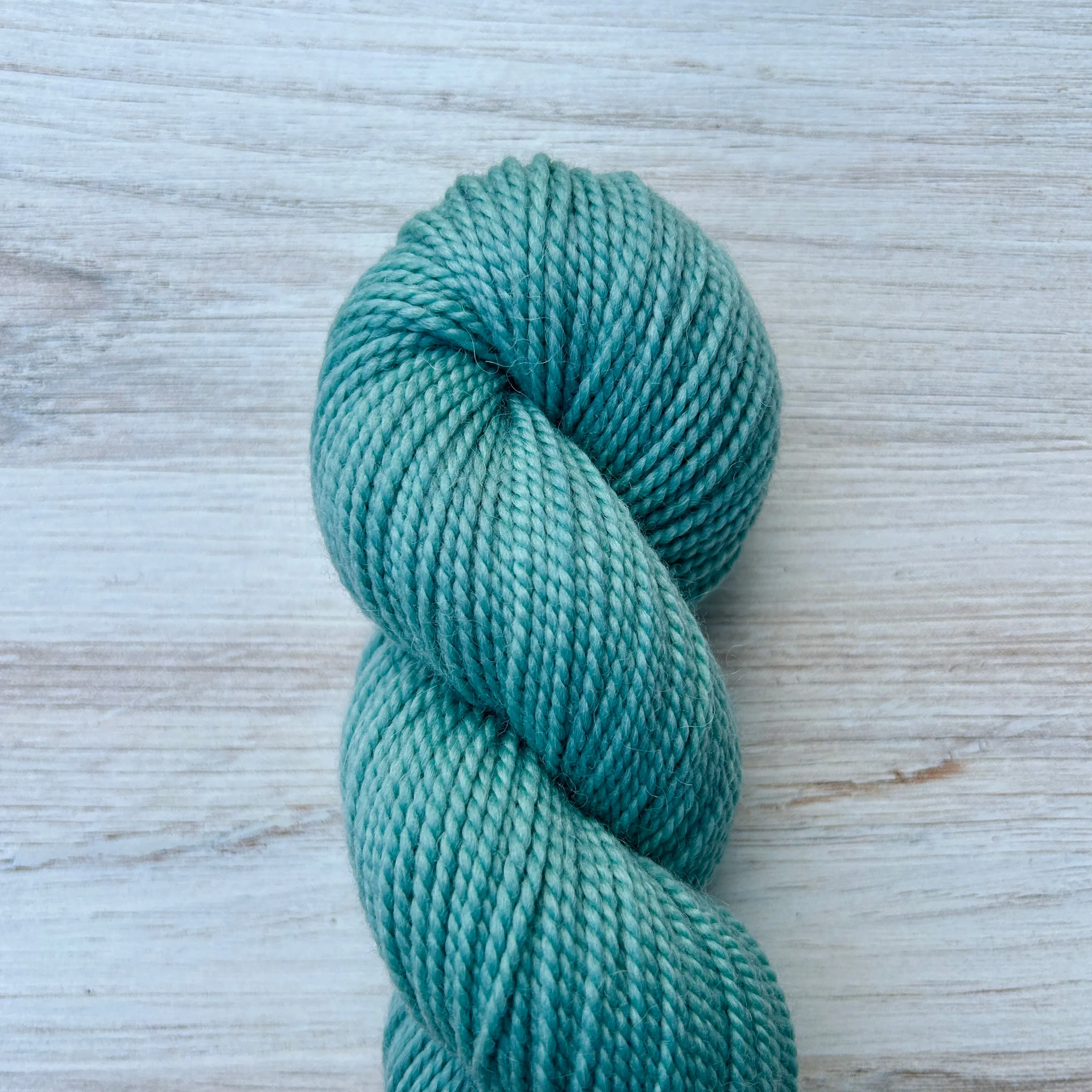 Merino Alpaca