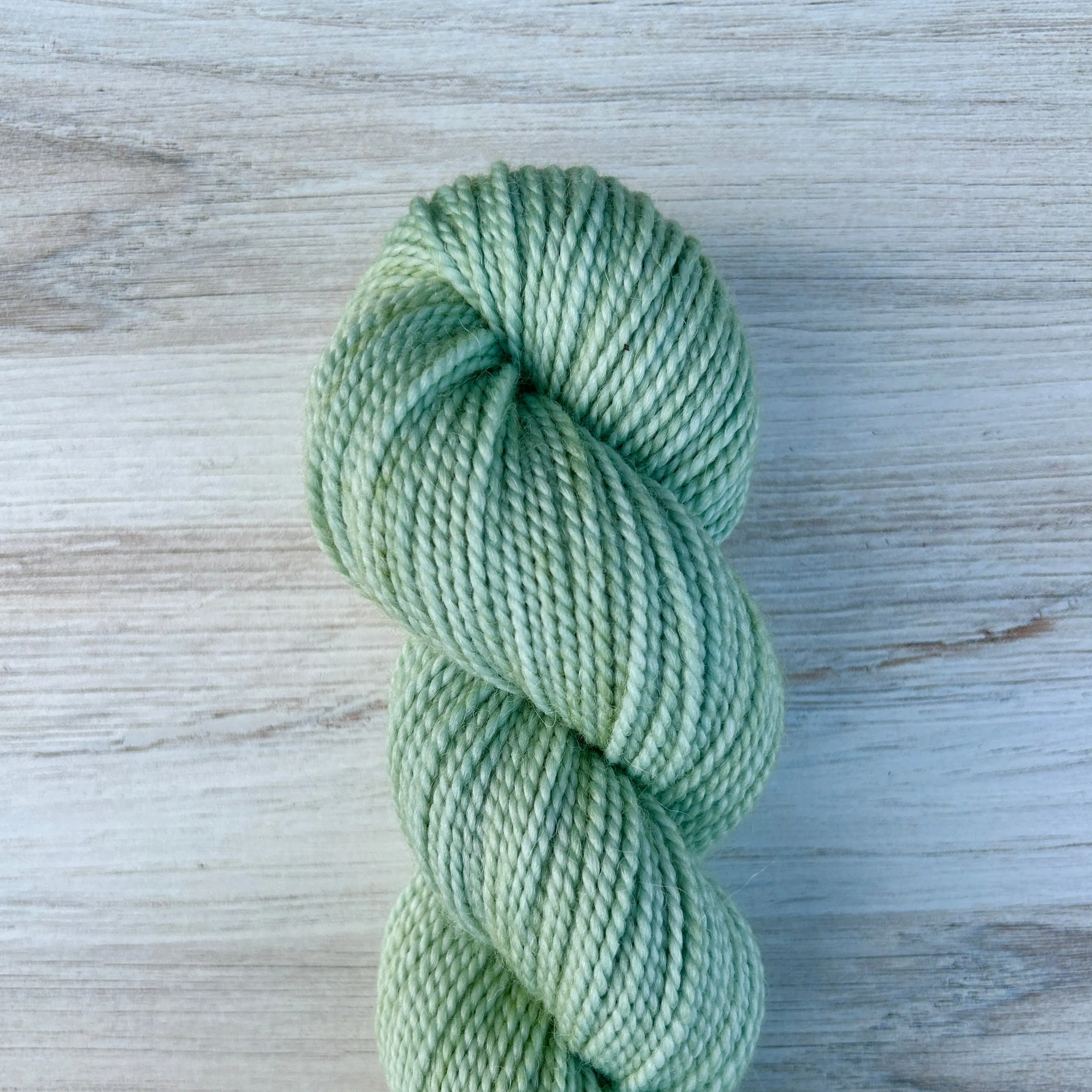 Merino Alpaca